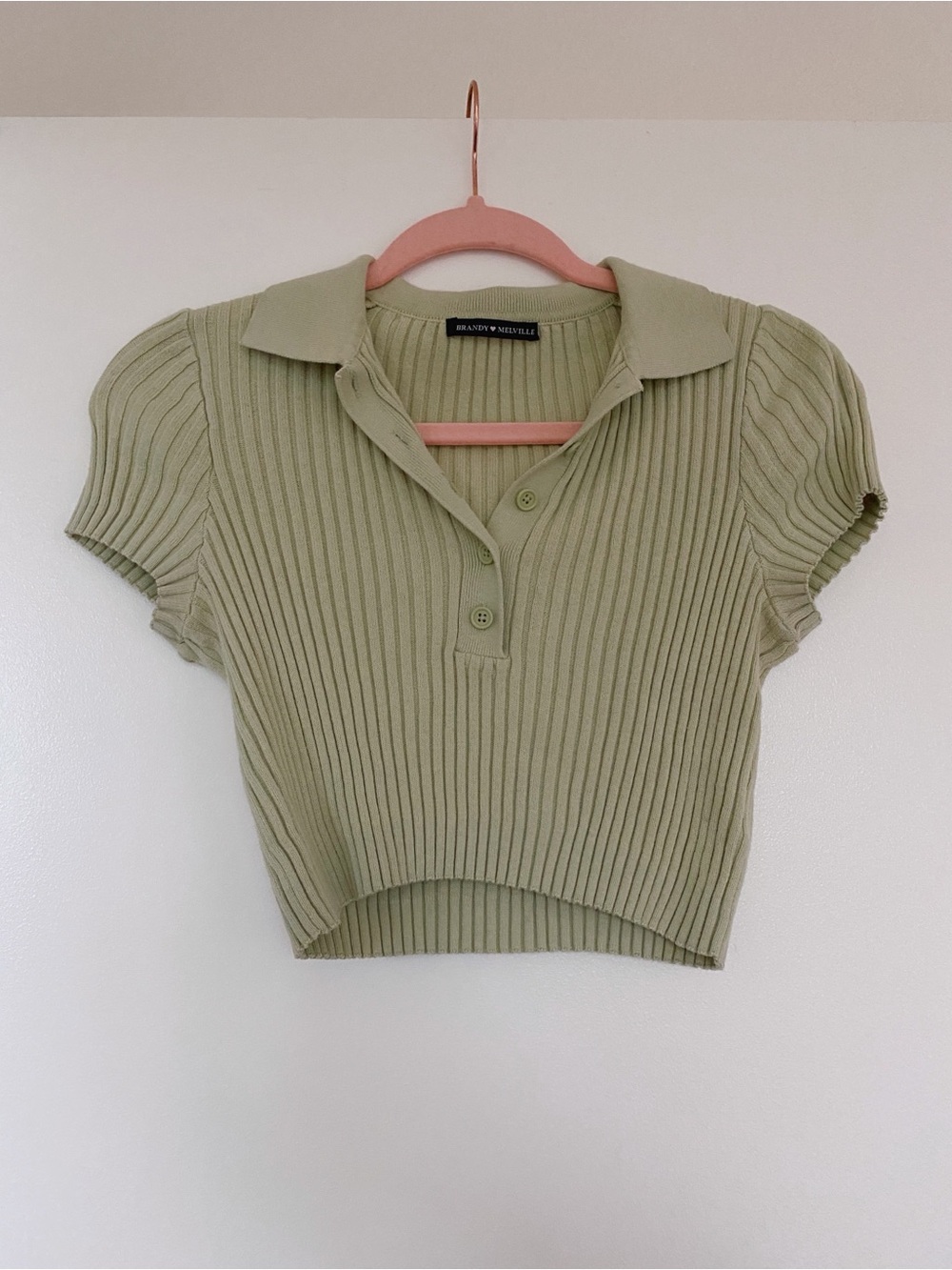 Brandy Melville Light Sage Ribbed Polo Knit Crop Top